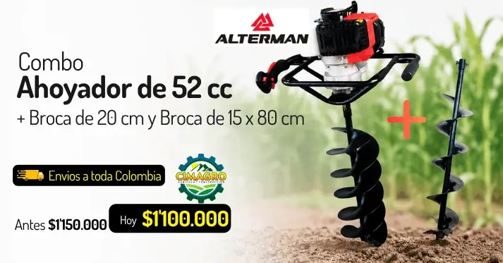 Ahoyador Alterman + Broca