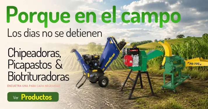 Chipeadoras y Picapastos