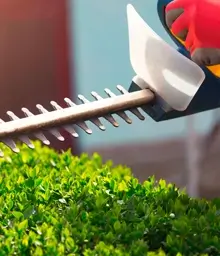 Equipos Para Jardinería